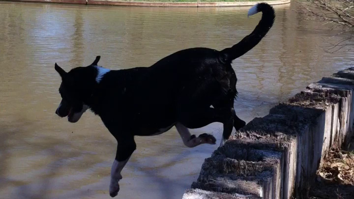 Lewis Jumps